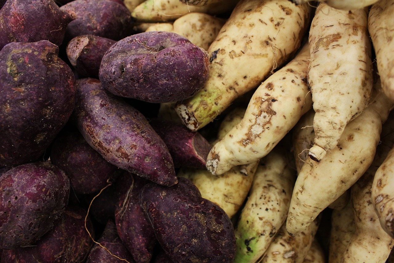 découvrez les bienfaits et recettes savoureuses de la patate douce, un tubercule riche en nutriments et délicieusement sucré.