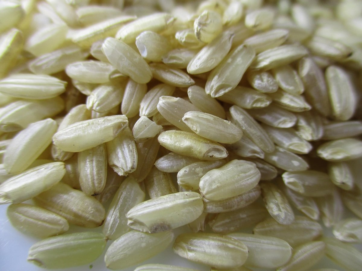 Quel est le secret d’un risotto crémeux comme en Italie ?