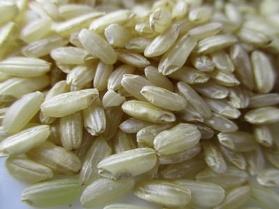 Quel est le secret d’un risotto crémeux comme en Italie ?