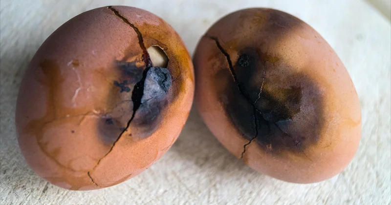 Les trois erreurs qui ruinent le filet mignon au cidre (et comment les éviter)